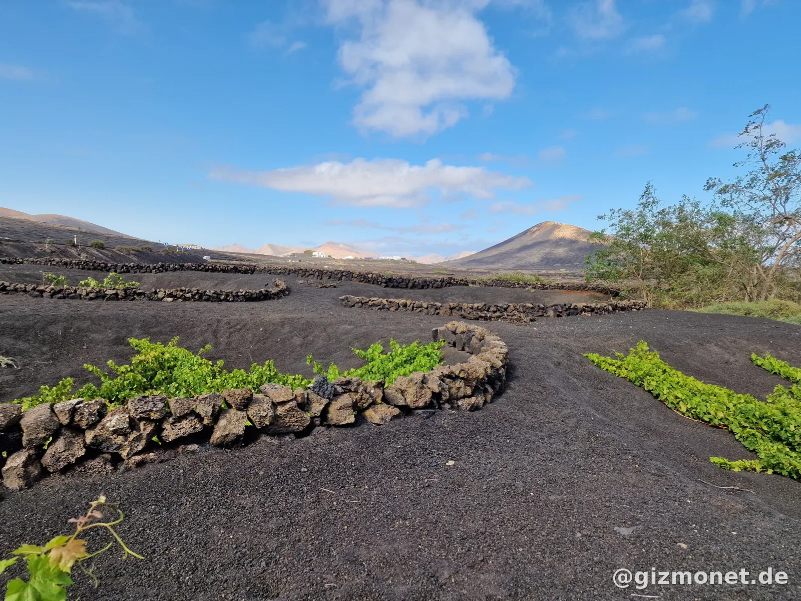 Lanzarote July 2024
